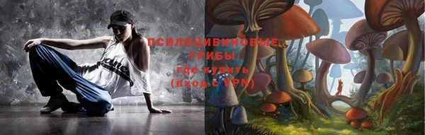твердый Новозыбков