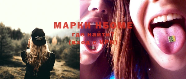 твердый Новозыбков