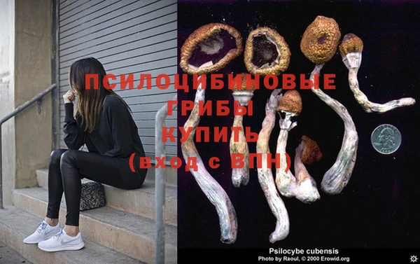 apvp Абдулино