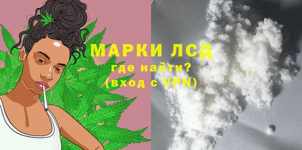 твердый Новозыбков