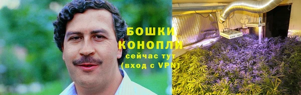 твердый Новозыбков